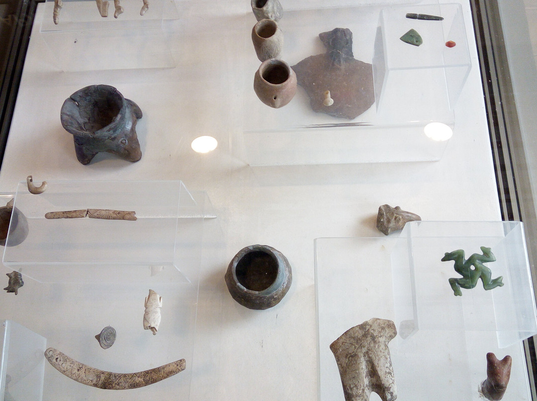 Regional History Museum Kardjali-Kardzhali必去景点