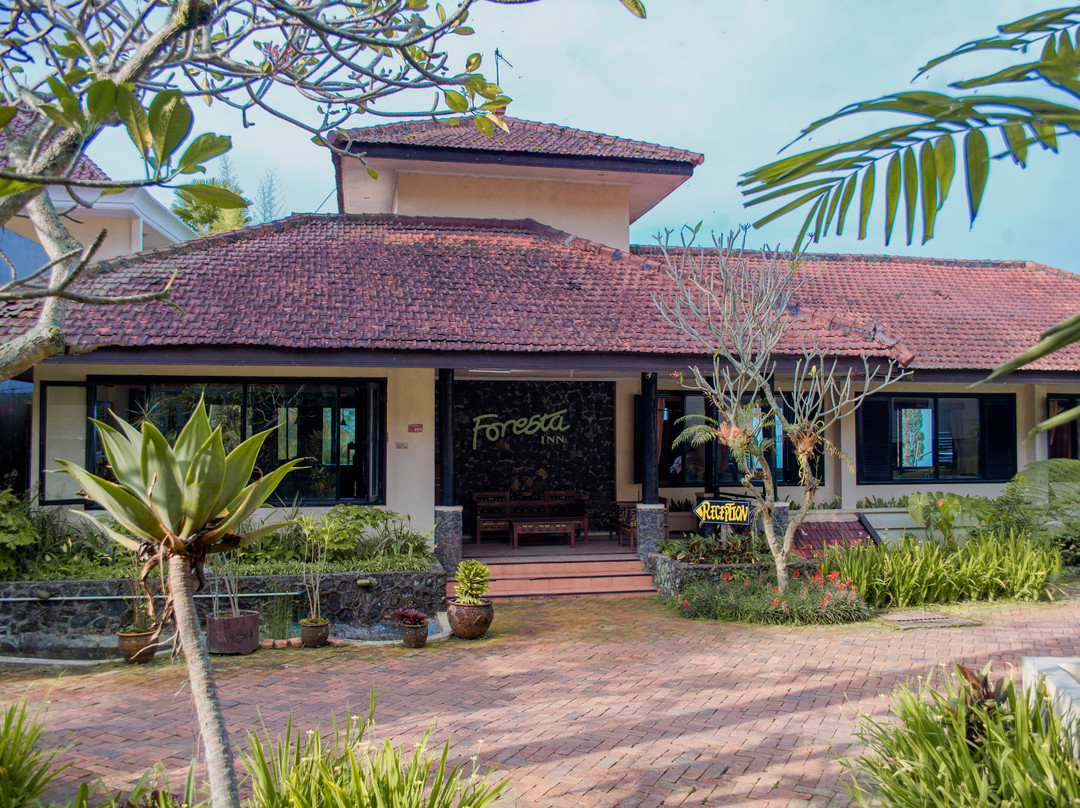 福雷斯塔家庭度假村客栈主图