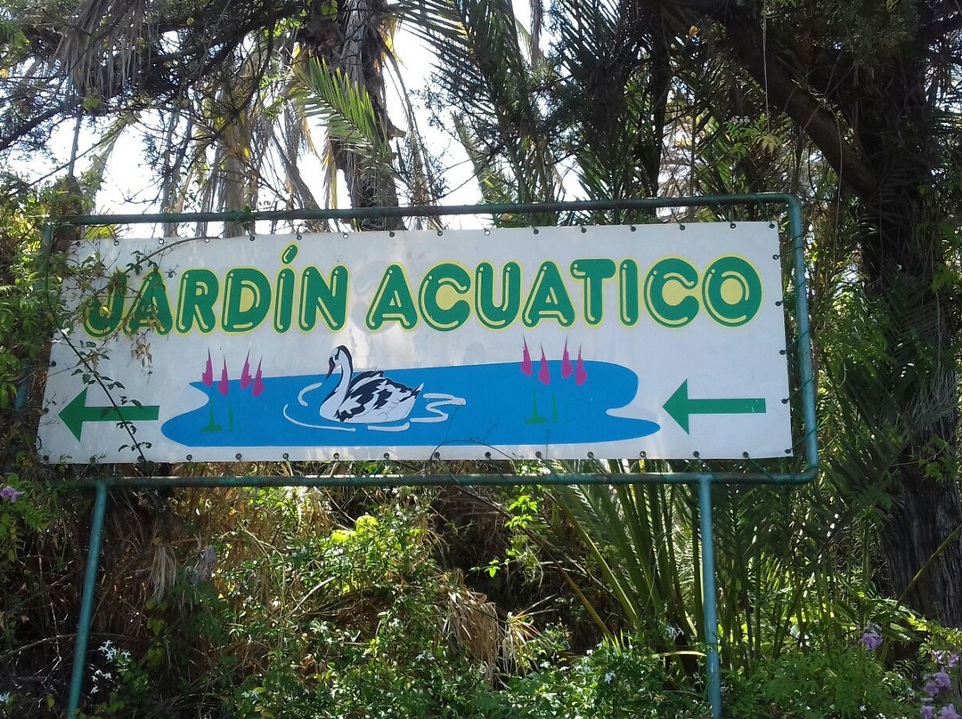 Jardin Aquatico景点图片