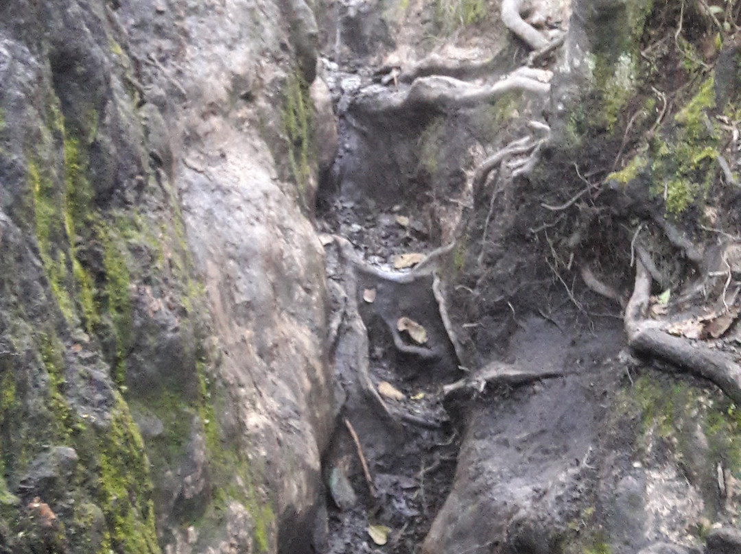 Pena de Juaica-Tabio必去景点