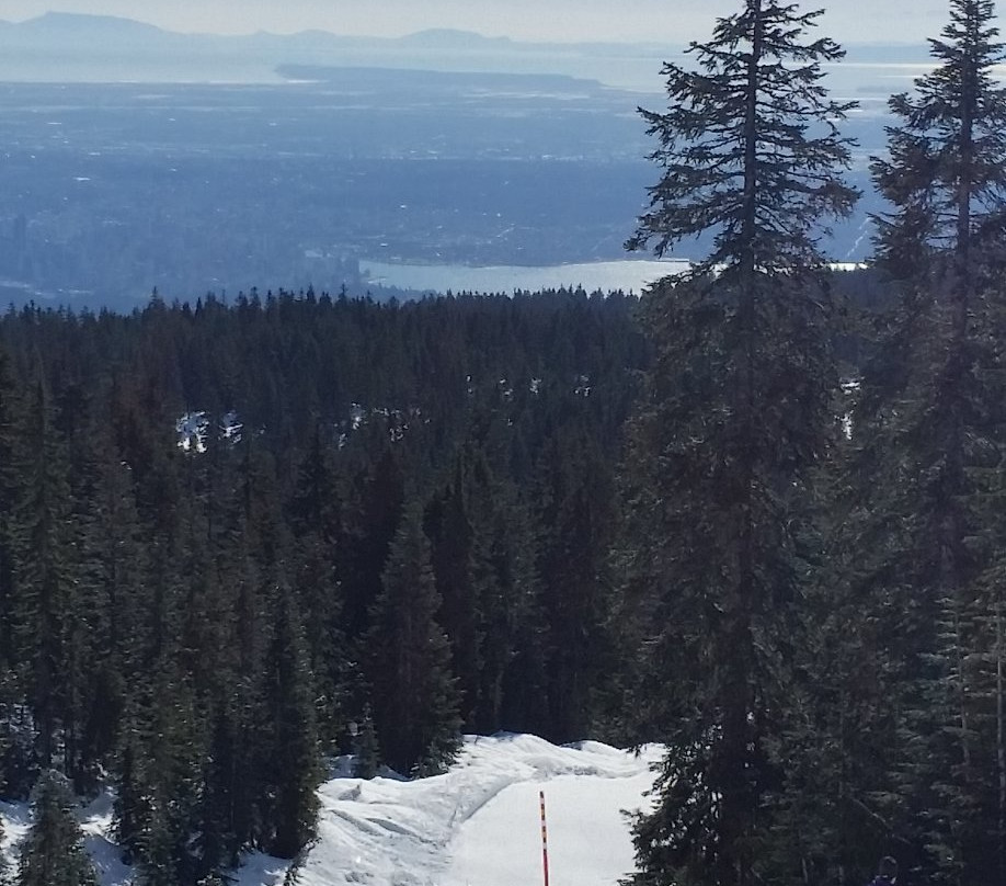 Hollyburn Mountain景点图片