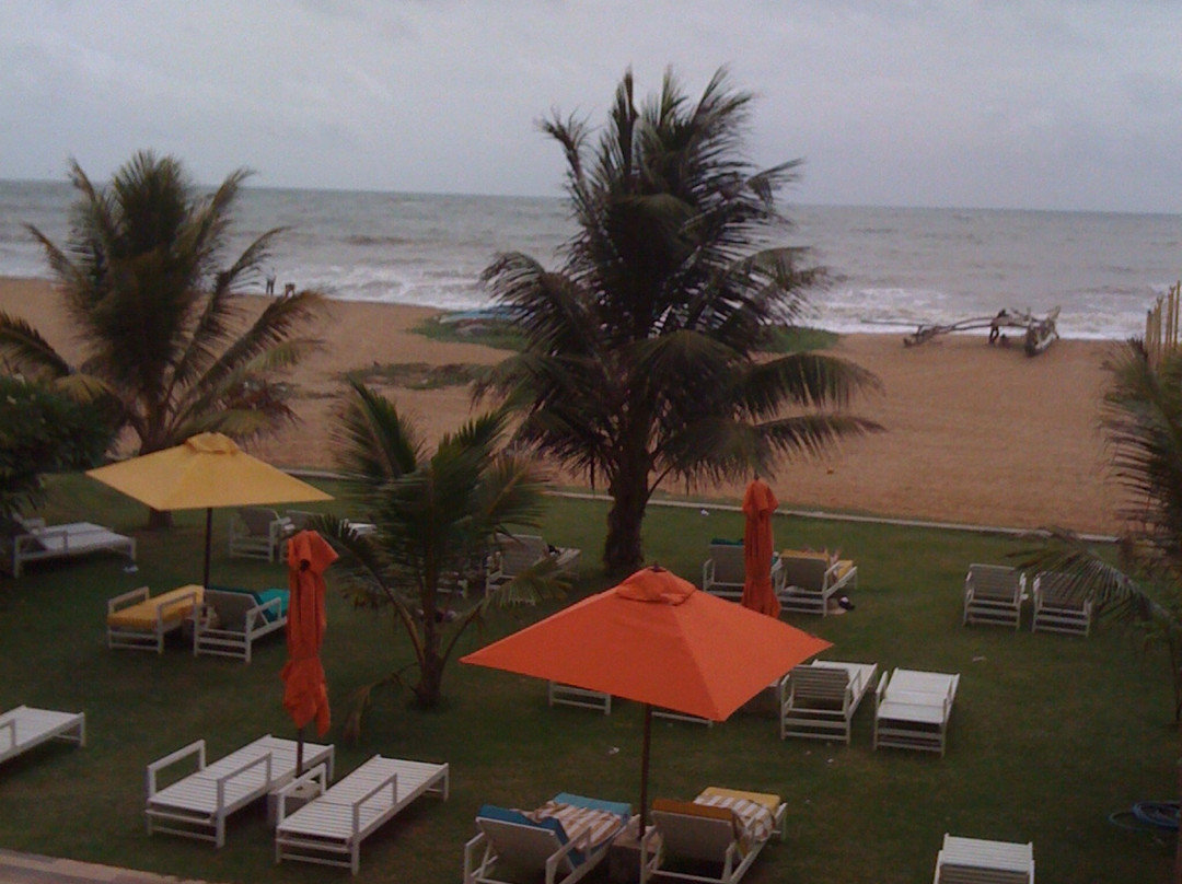 Food N Fruit Family Restaurant