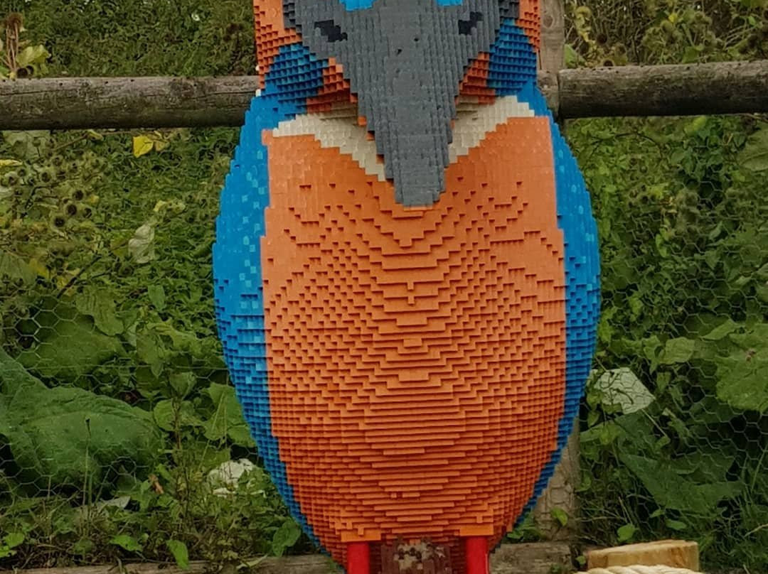 WWT Slimbridge Wetland Centre-Slimbridge必去景点