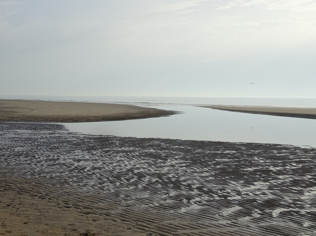 IJmuiden Strand景点图片