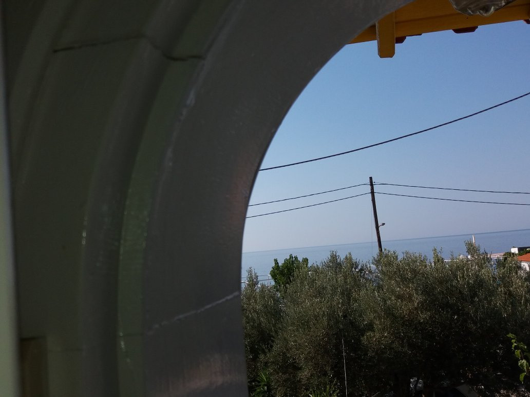 Pelagia Studios
