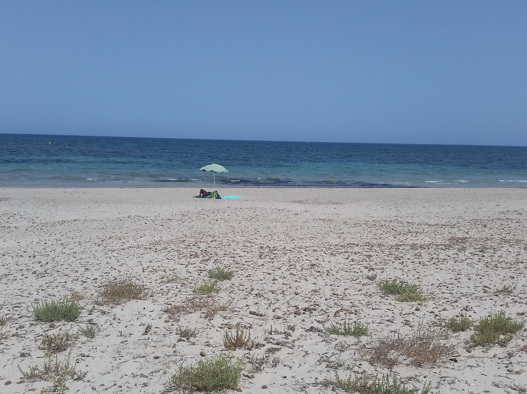 Playa de la Llana-Lo Pagán必去景点