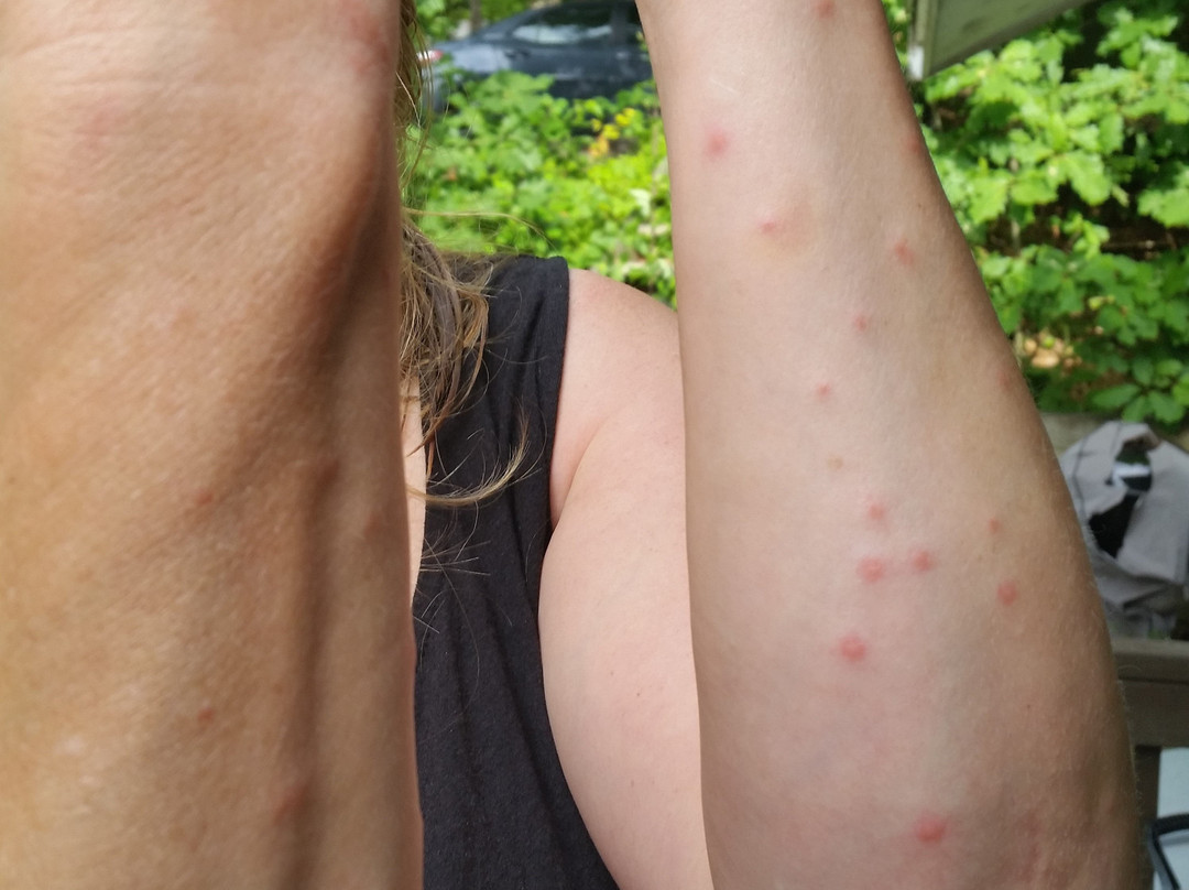 Carolina Motel主图