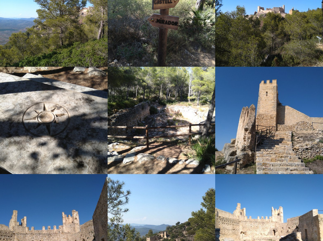 Alcala de Xivert旅游攻略图片