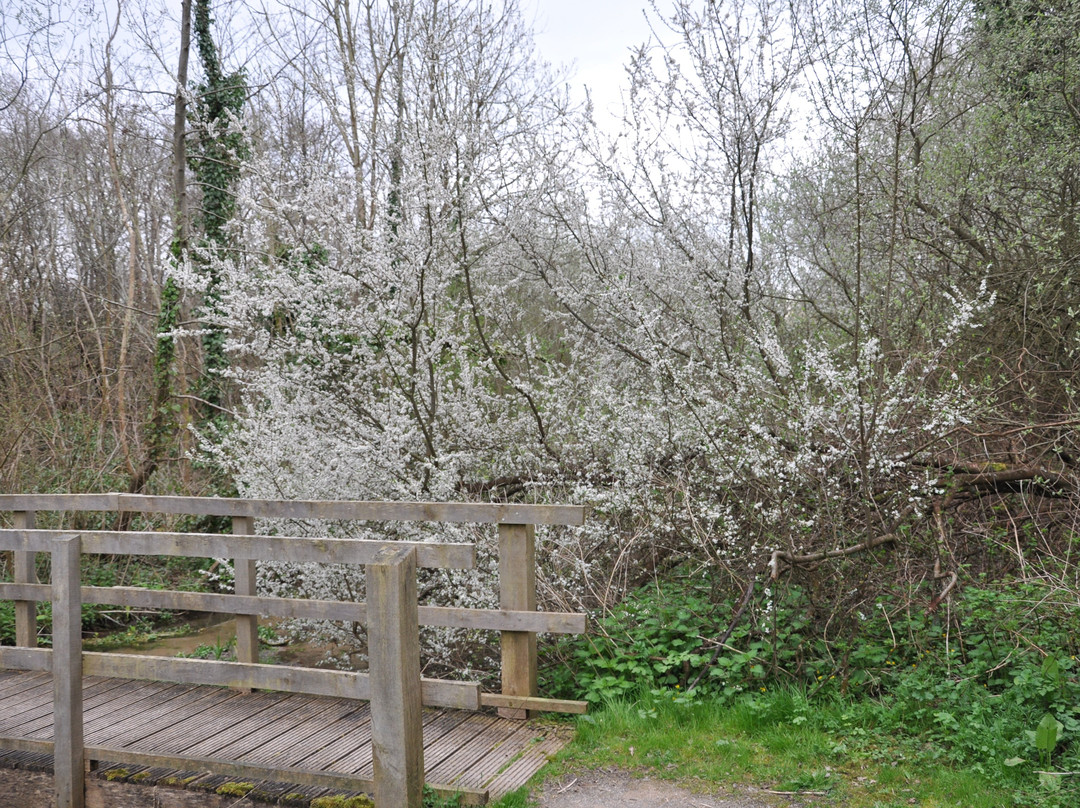 Domaine du Rohart-Camiers必去景点