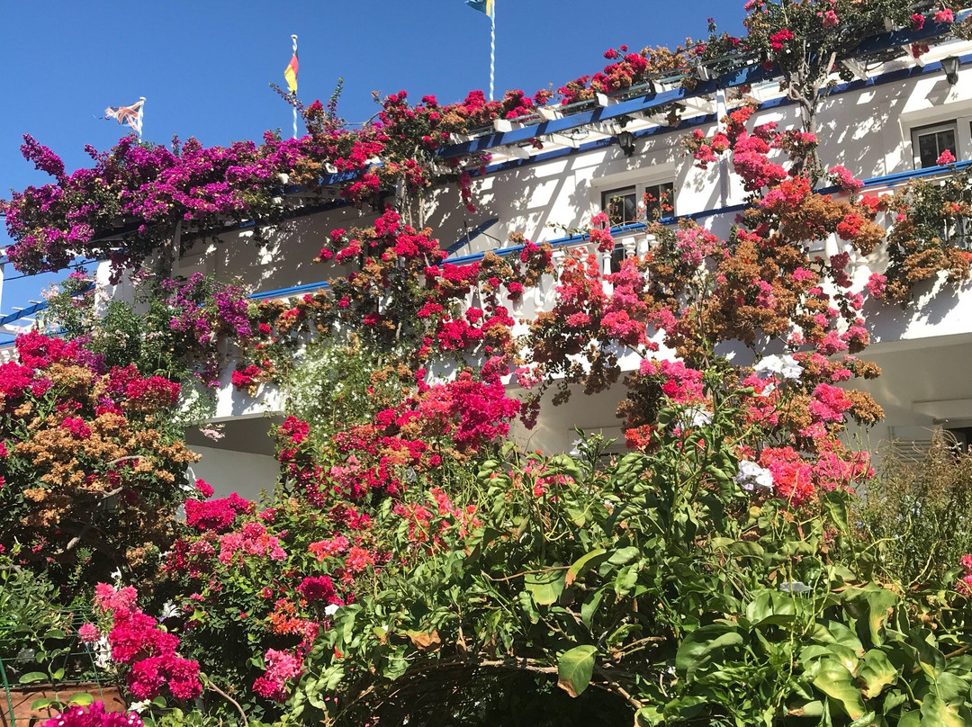 Hotel Angelika主图