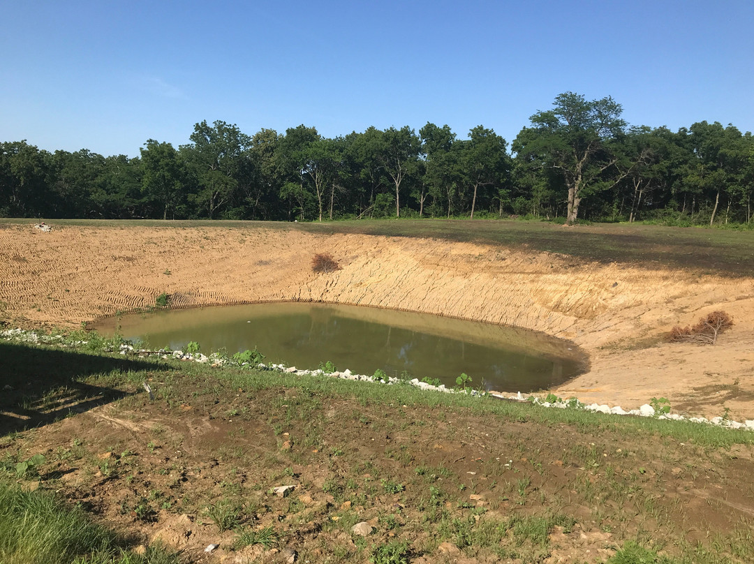 Country Cabins主图