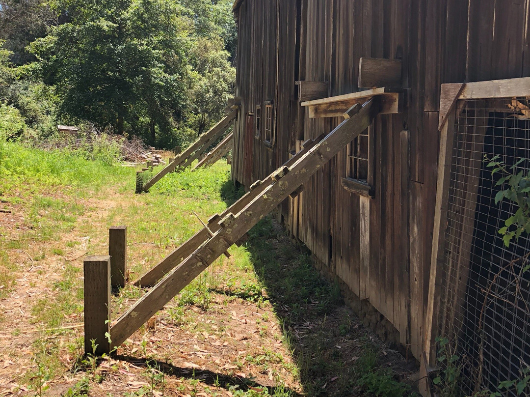 Burleigh Murray Ranch State Park-半月湾必去景点