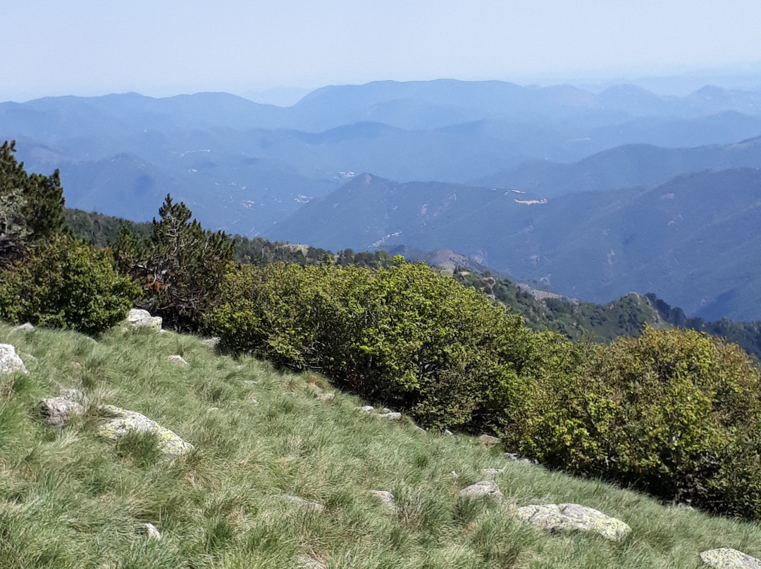 Observatoire du Mont Aigoual景点图片