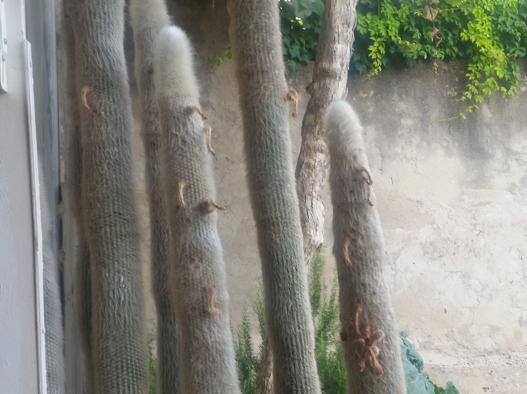 Guesthouse Home Sweet Home主图