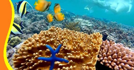 Nusa Penida OK Tour-沙努尔必去景点