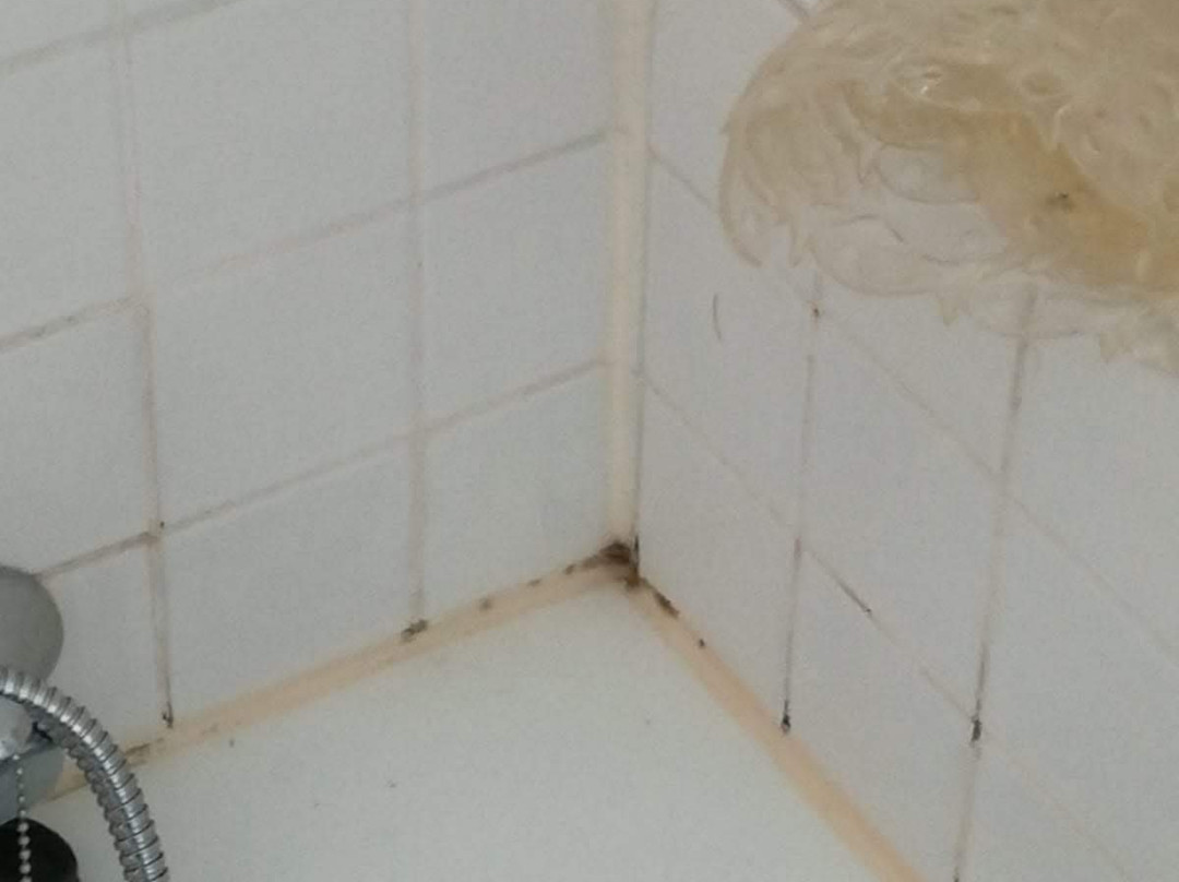 A. Montesinho Turismo主图