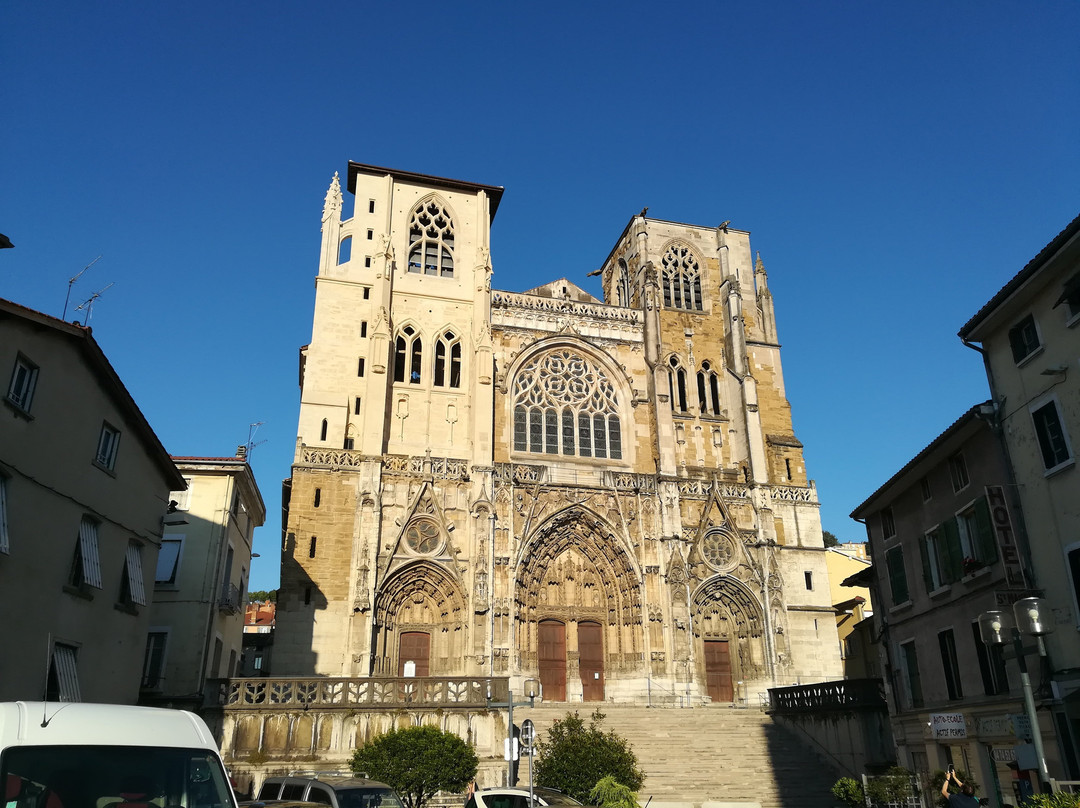 Cathédrale Saint-Maurice景点图片