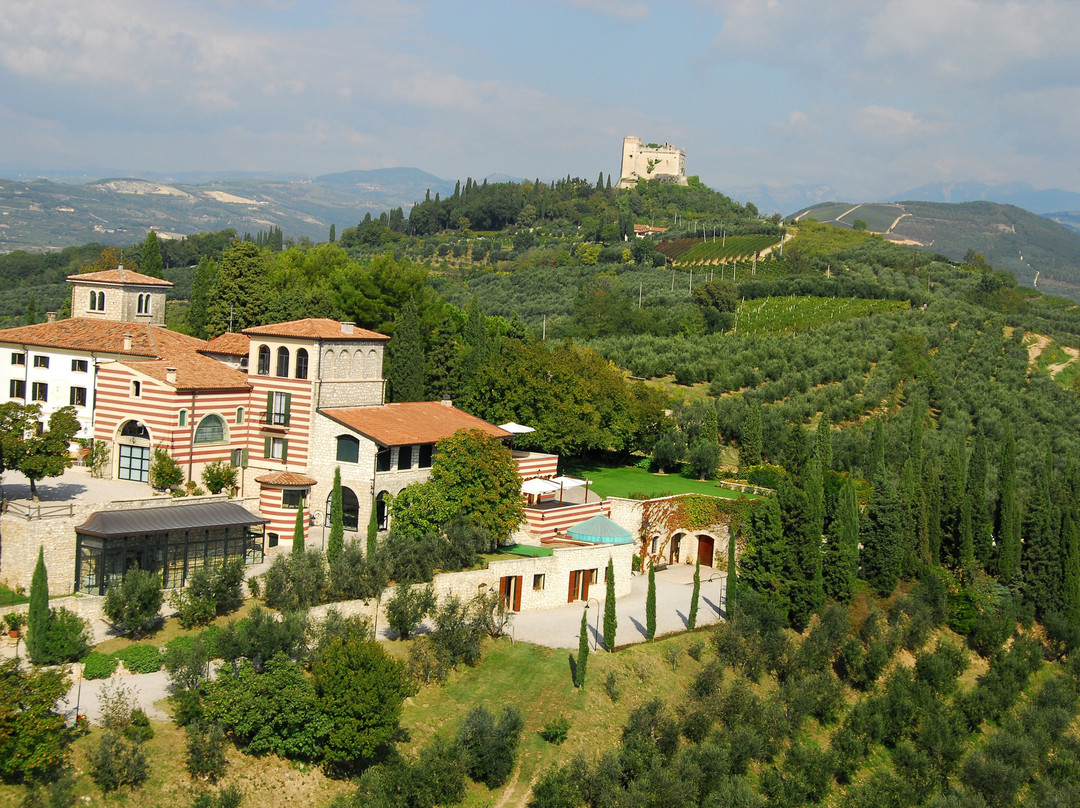 Azienda Agricola Trabucchi景点图片