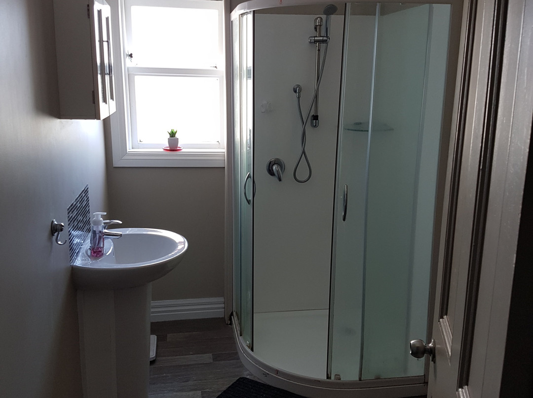 Te Kotuku Homestay Bed and Breakfast主图