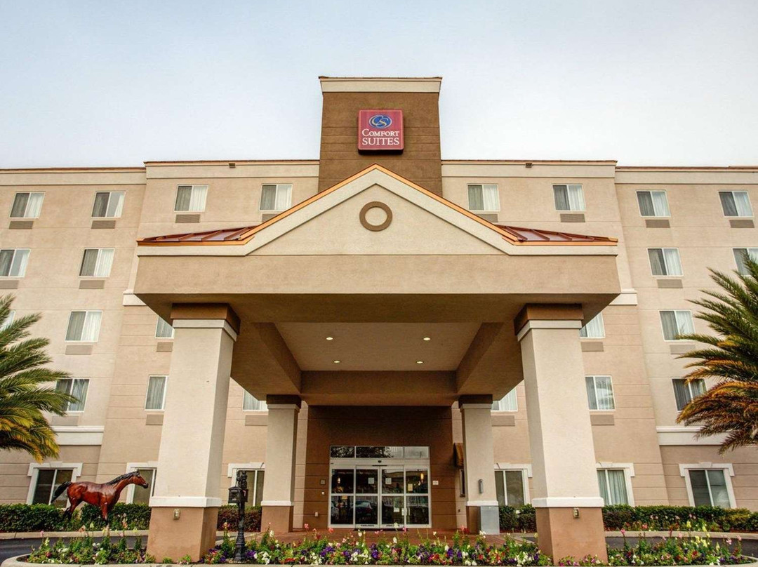 Comfort Suites Ocala North主图