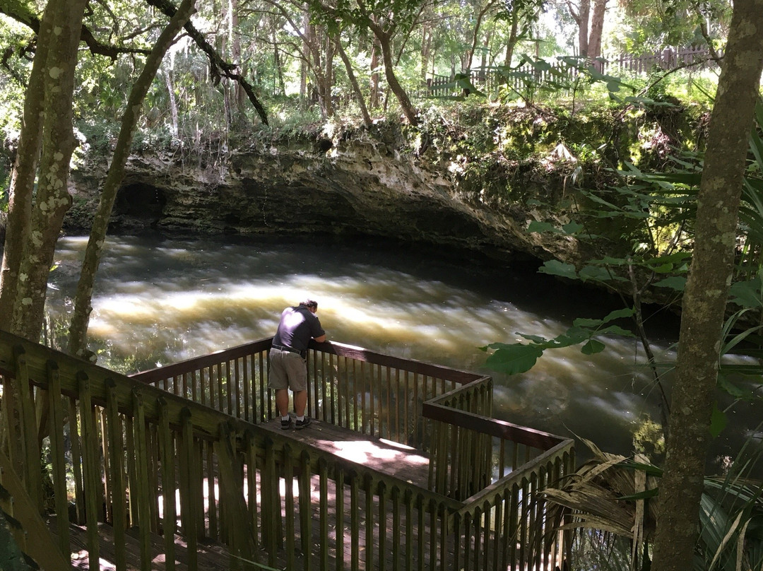 Scott Spring Park-奥卡拉必去景点