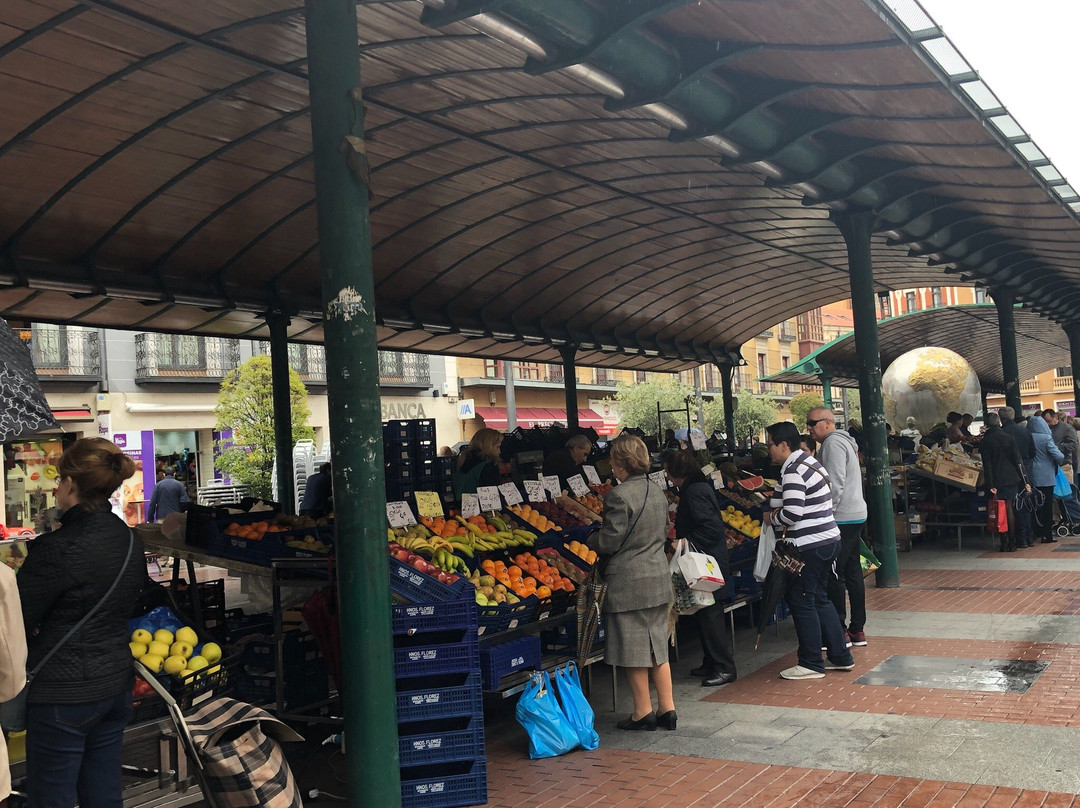 Plaza de Espana-瓦拉杜利德必去景点