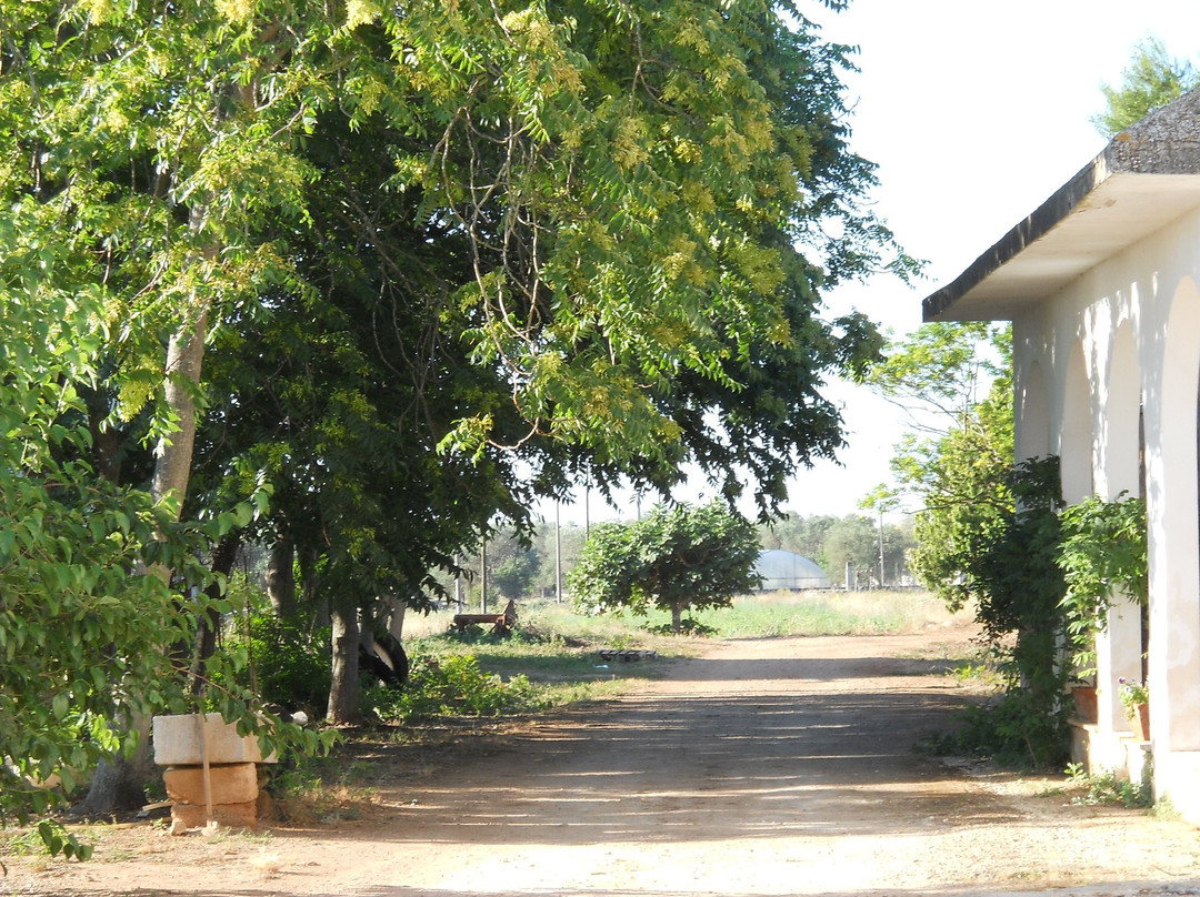 Agriturismo Tenuta Perruzzi