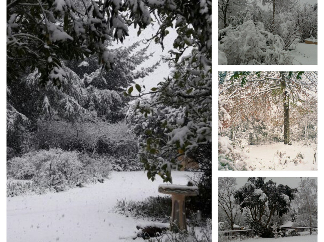 Granny Mouse House主图