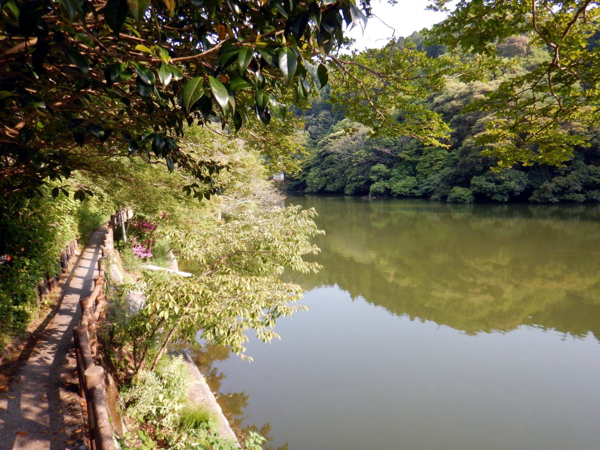 吹上温泉 湖畔之宿 碧庄-酒店景观