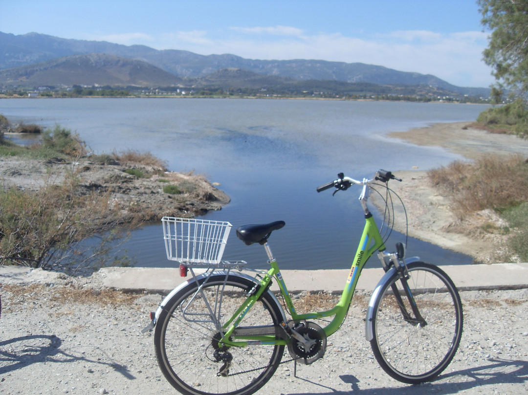 Nikos Bikes