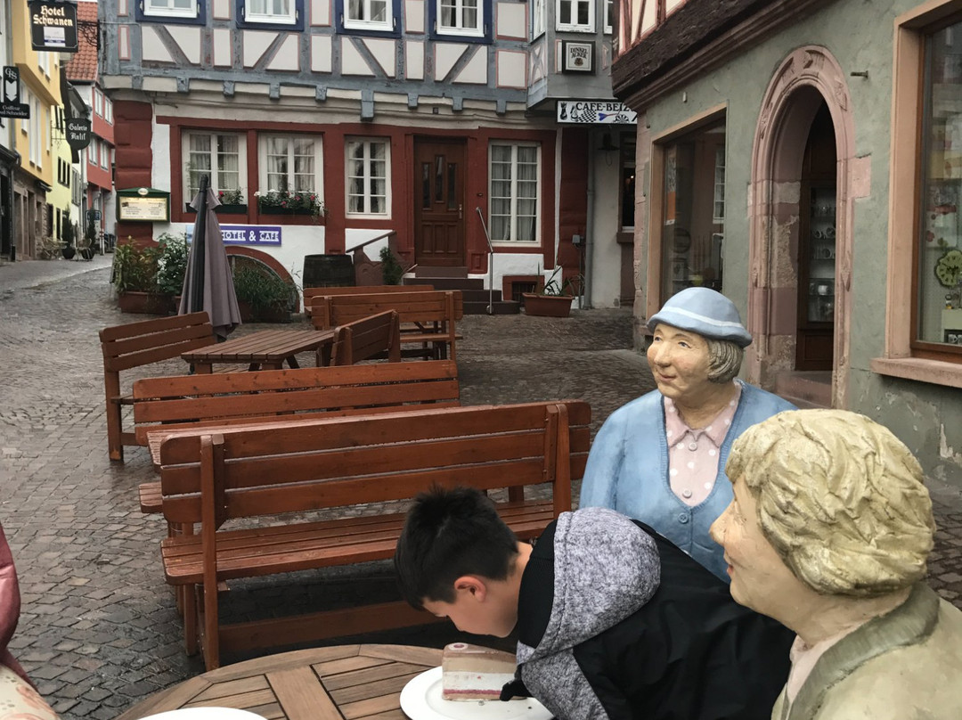 Hotel Schwanen主图