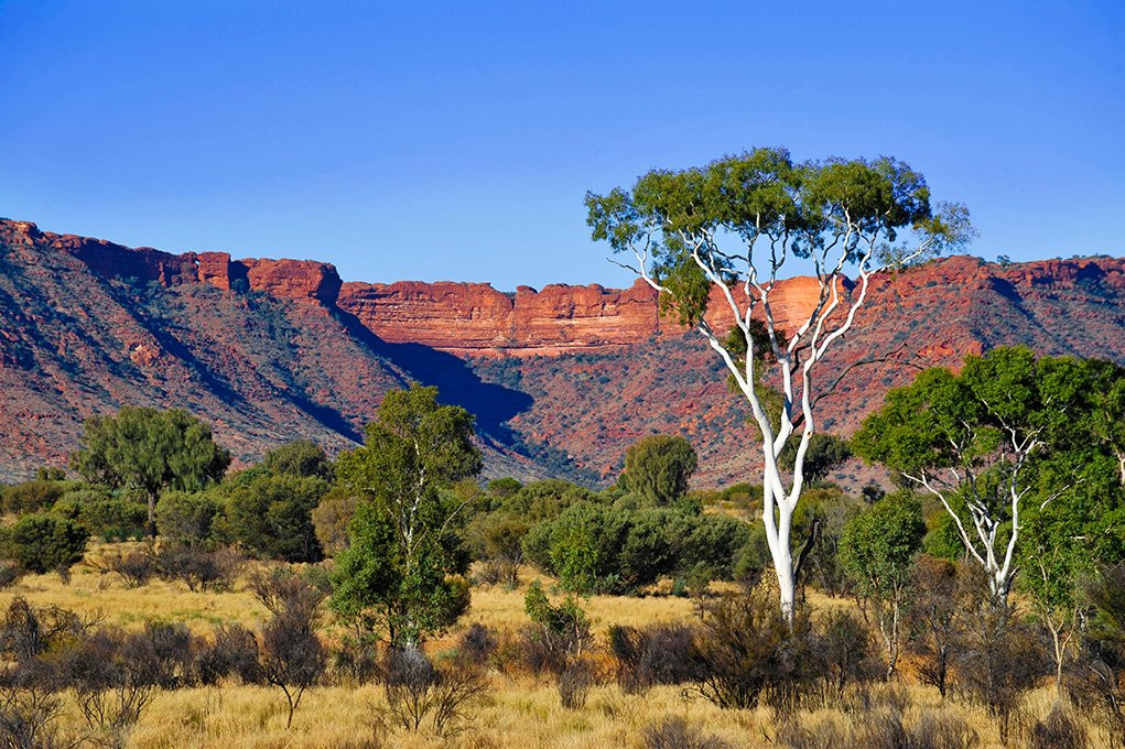 Outback Spirit景点图片