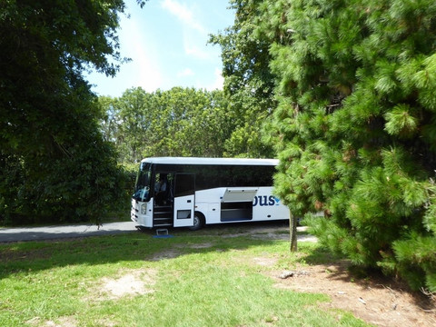 Kiwifruit Country Tours-蒂普基必去景点