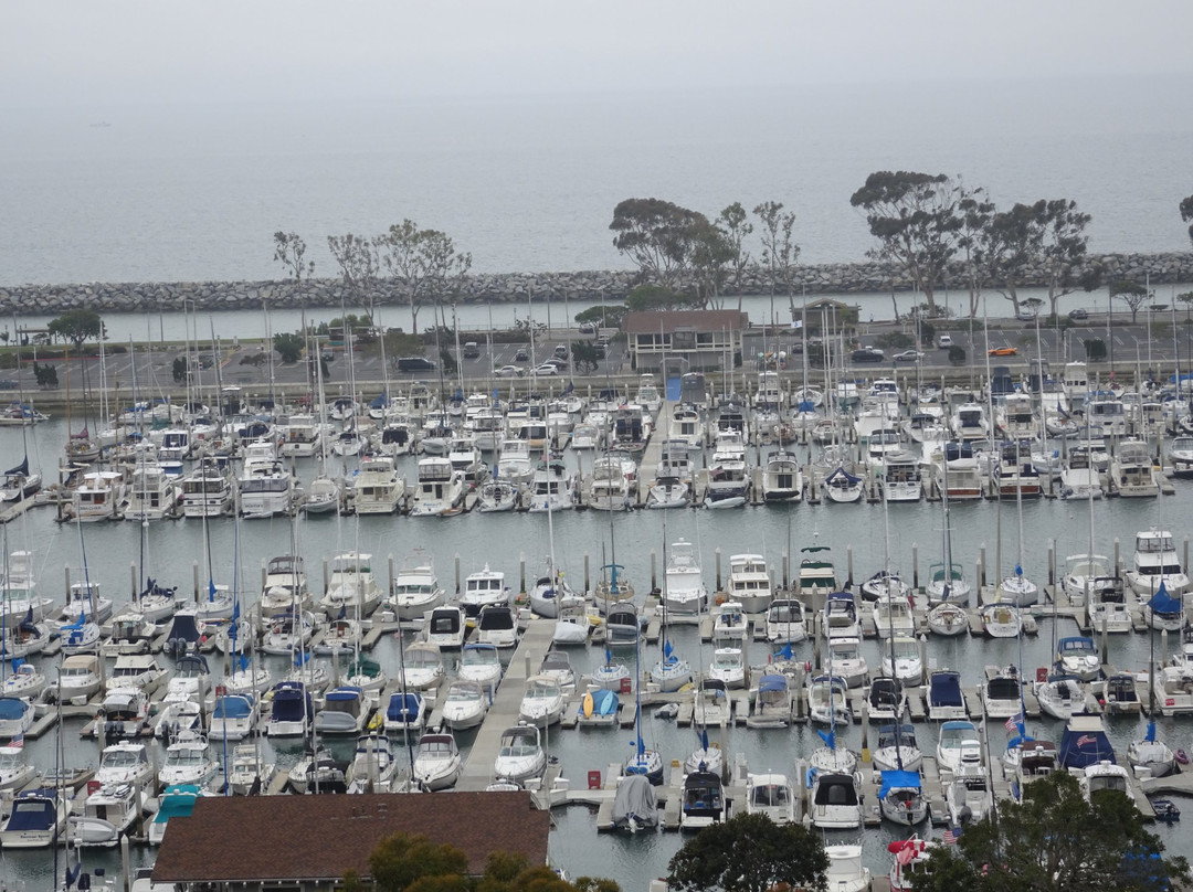 Hill Top Park-德纳角必去景点
