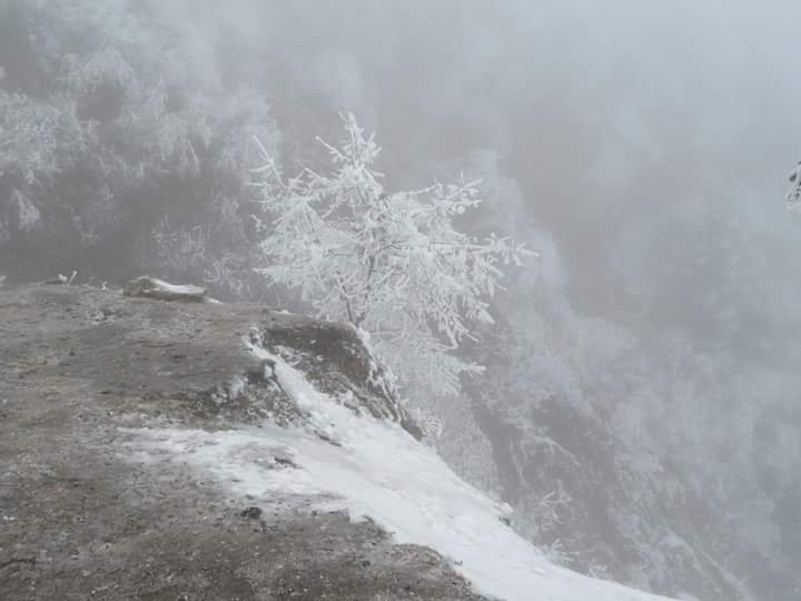 Life on Wheels-古瓦哈提必去景点