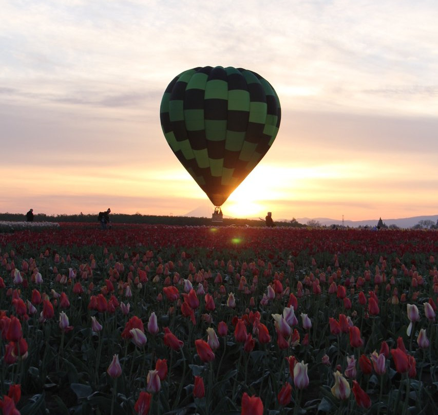 Willamette Valley Balloons-Donald必去景点