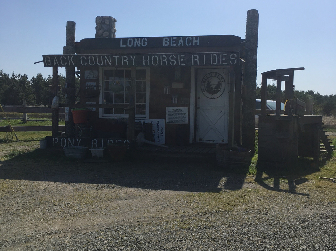 Back Country Horse Rides景点图片