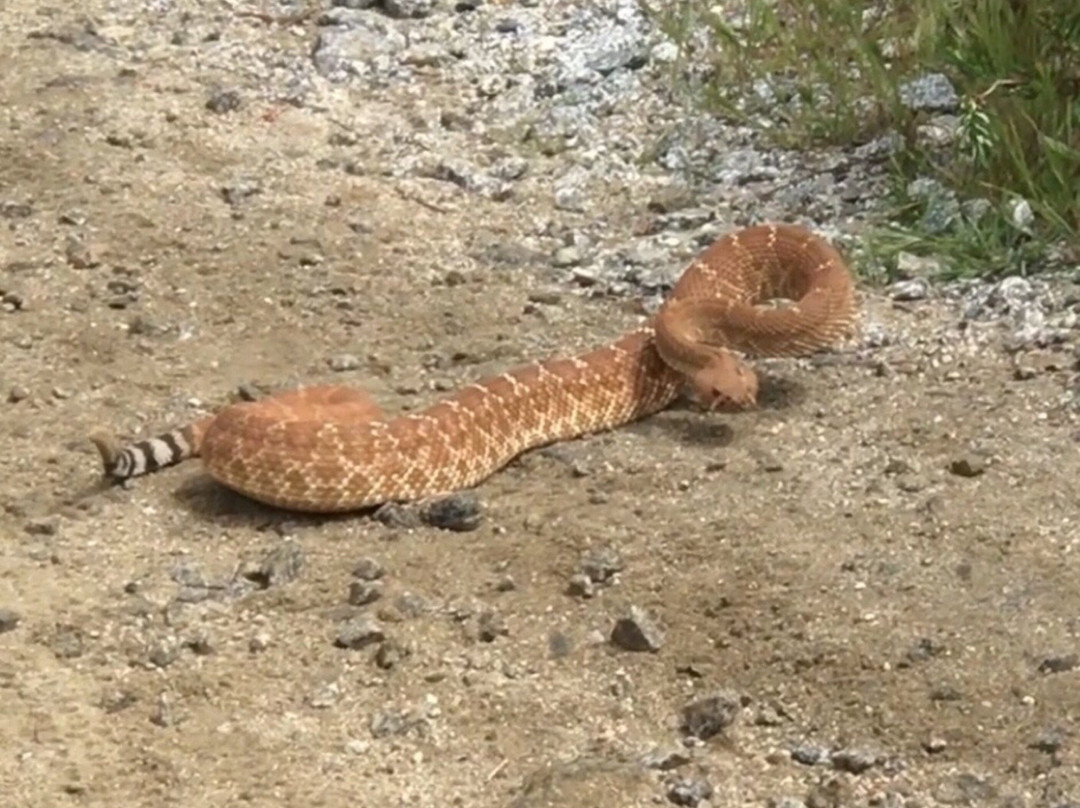 Sycamore Canyon Wilderness Park-里弗赛德必去景点
