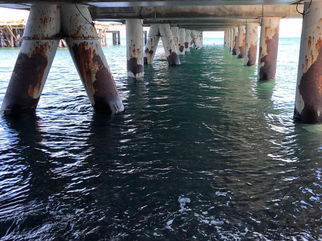 Salty Girls Gift Shop-荷马必去景点