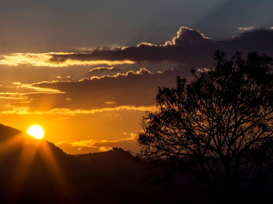 巴比伦的悬挂花园主图
