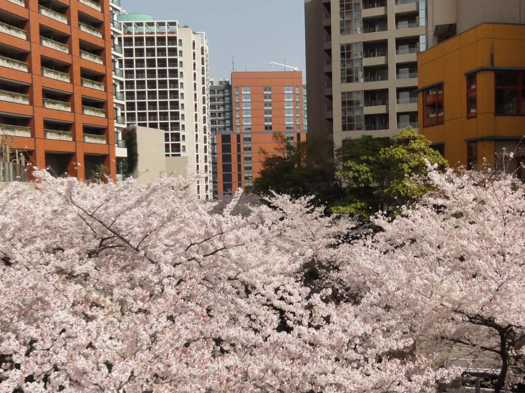 Roppongi Sakurazaka-Roppongi必去景点