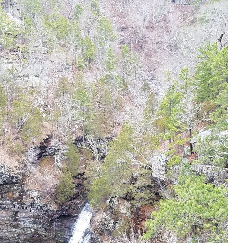 Cedar Falls Trail景点图片