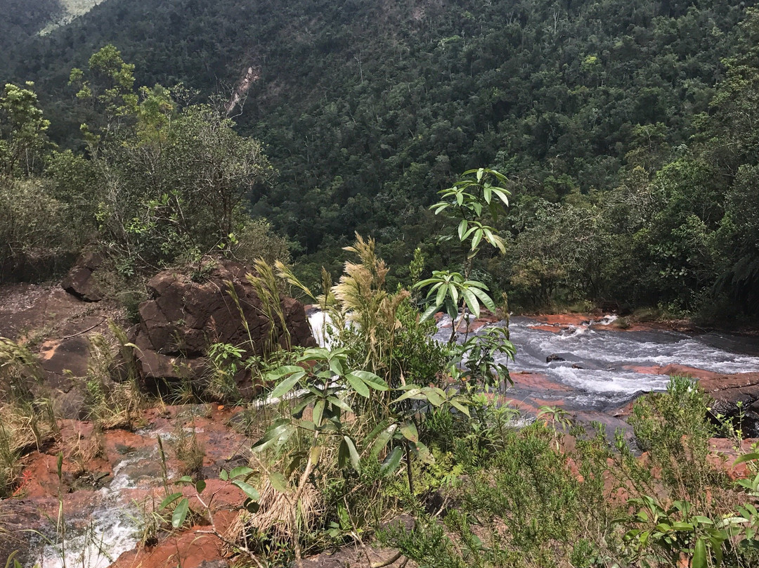 巴伊阿那然朱自然公园景点图片