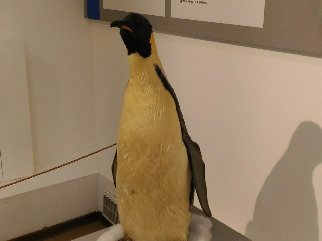 Museum of Nature景点图片