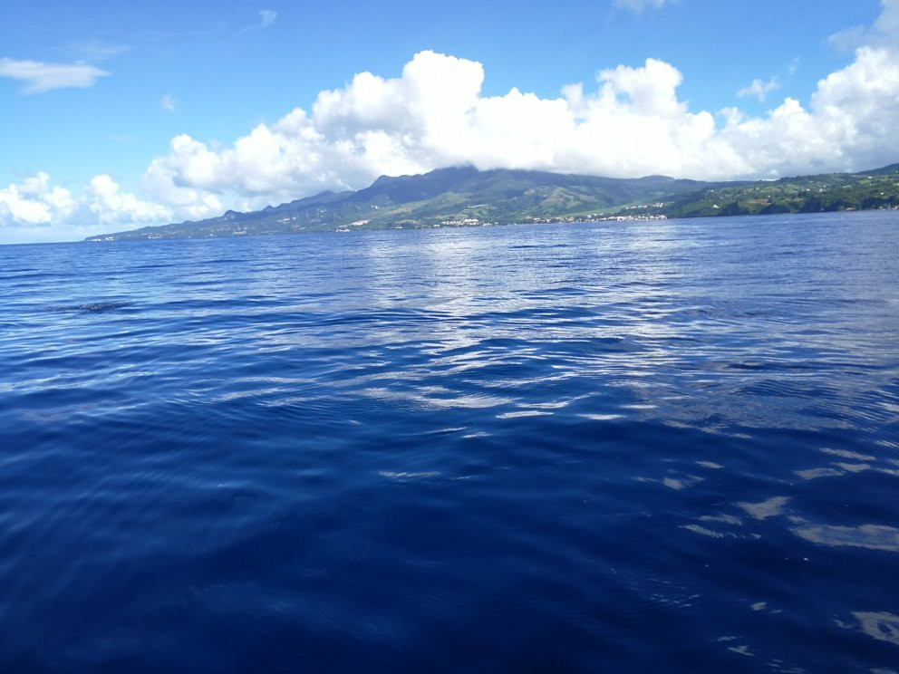 Antilles Excursions-Trois-Ilets必去景点