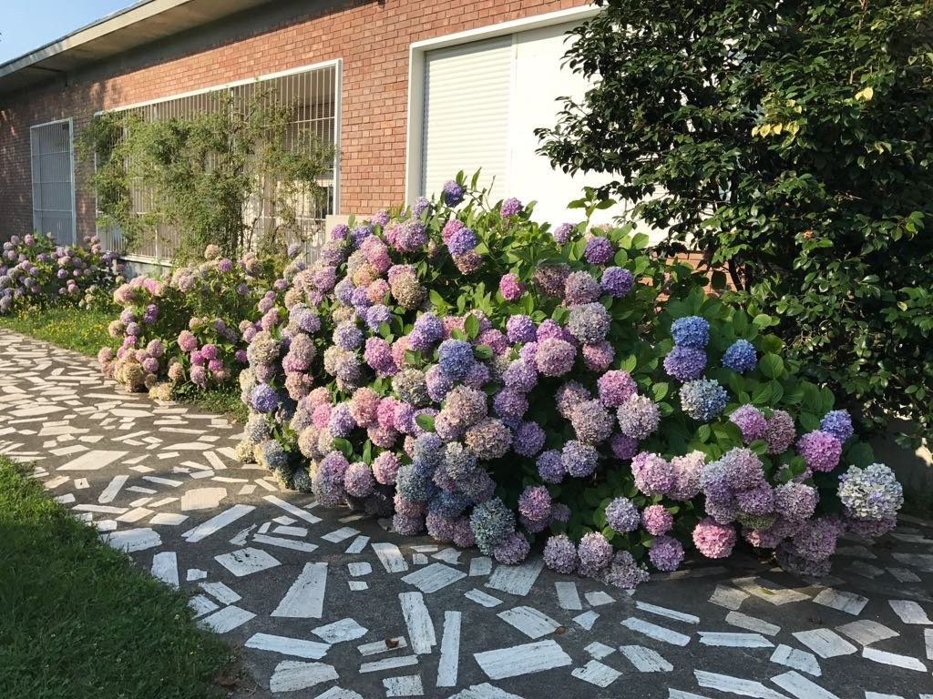 Villa Silvia Olivetti主图