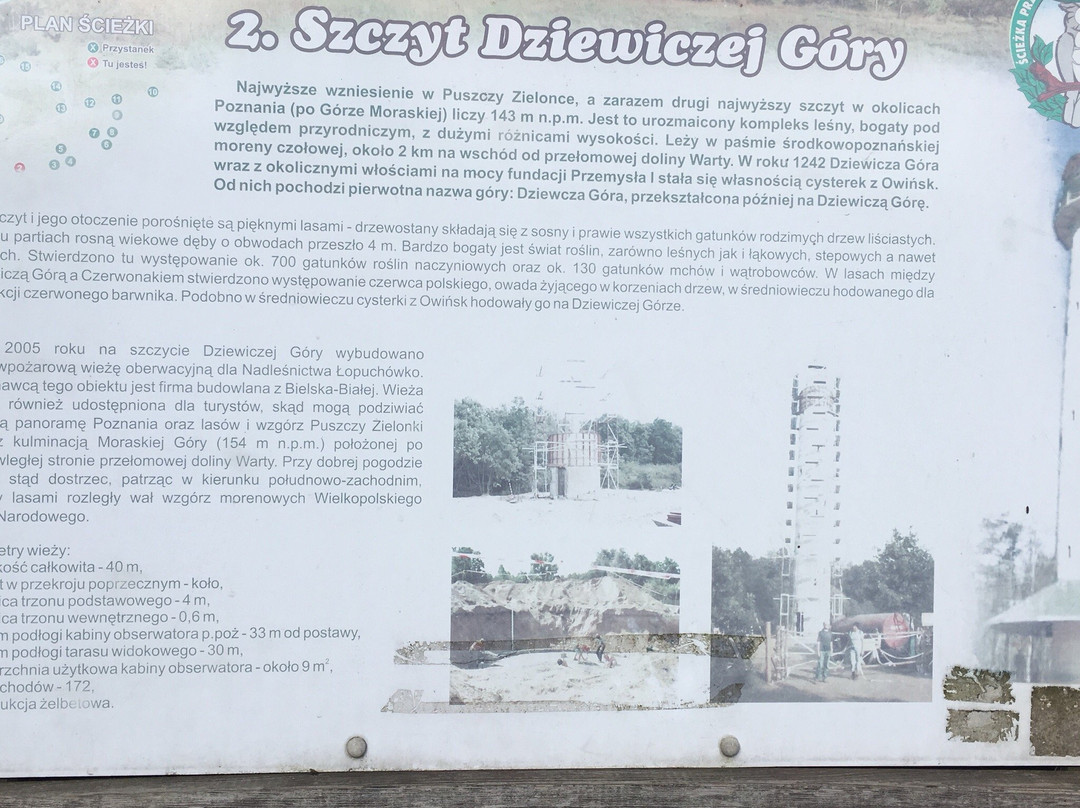 Lookout Tower at Dziewicza Góra景点图片