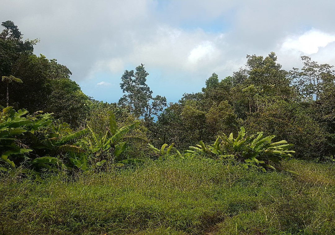 Matouba Hot Springs-Matouba必去景点