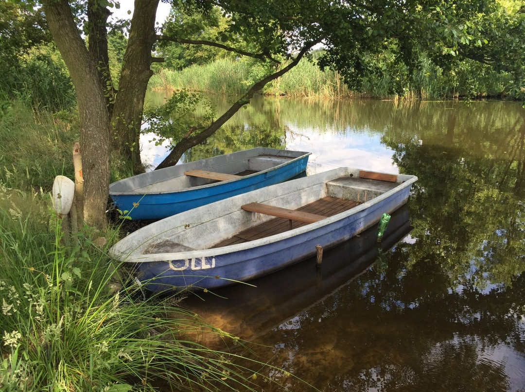 Landhaus Alwine主图