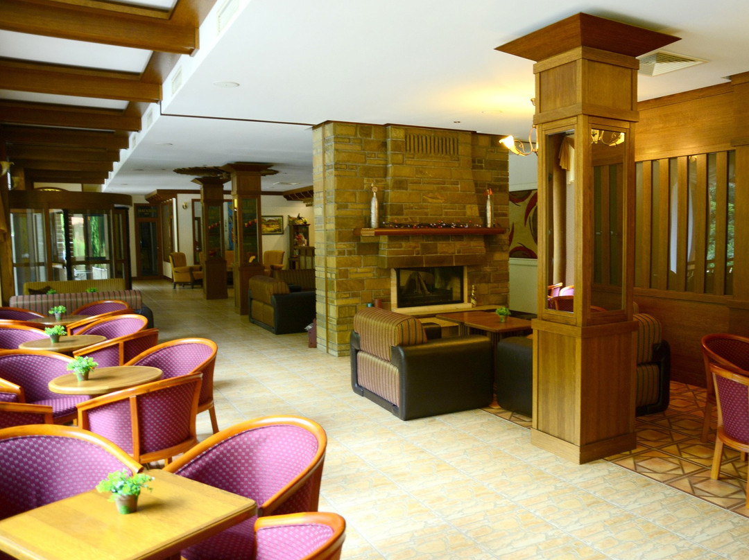 Hotel Bozhenci主图